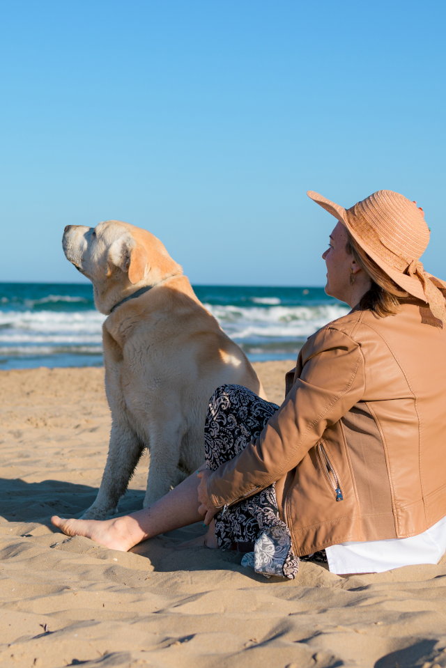 Ruta cultural con tu perro por Cambados – ¡Descubre la magia de las Rías Baixas!