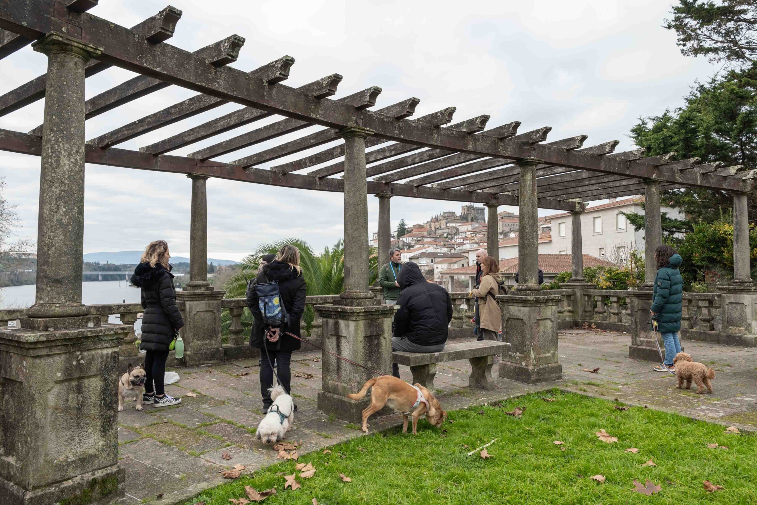 Visita guiada cultural con perro por la ciudad de Tui en Pontevedra, realizada por Rekunchos, agencia de viajes pet friendly en Galicia.