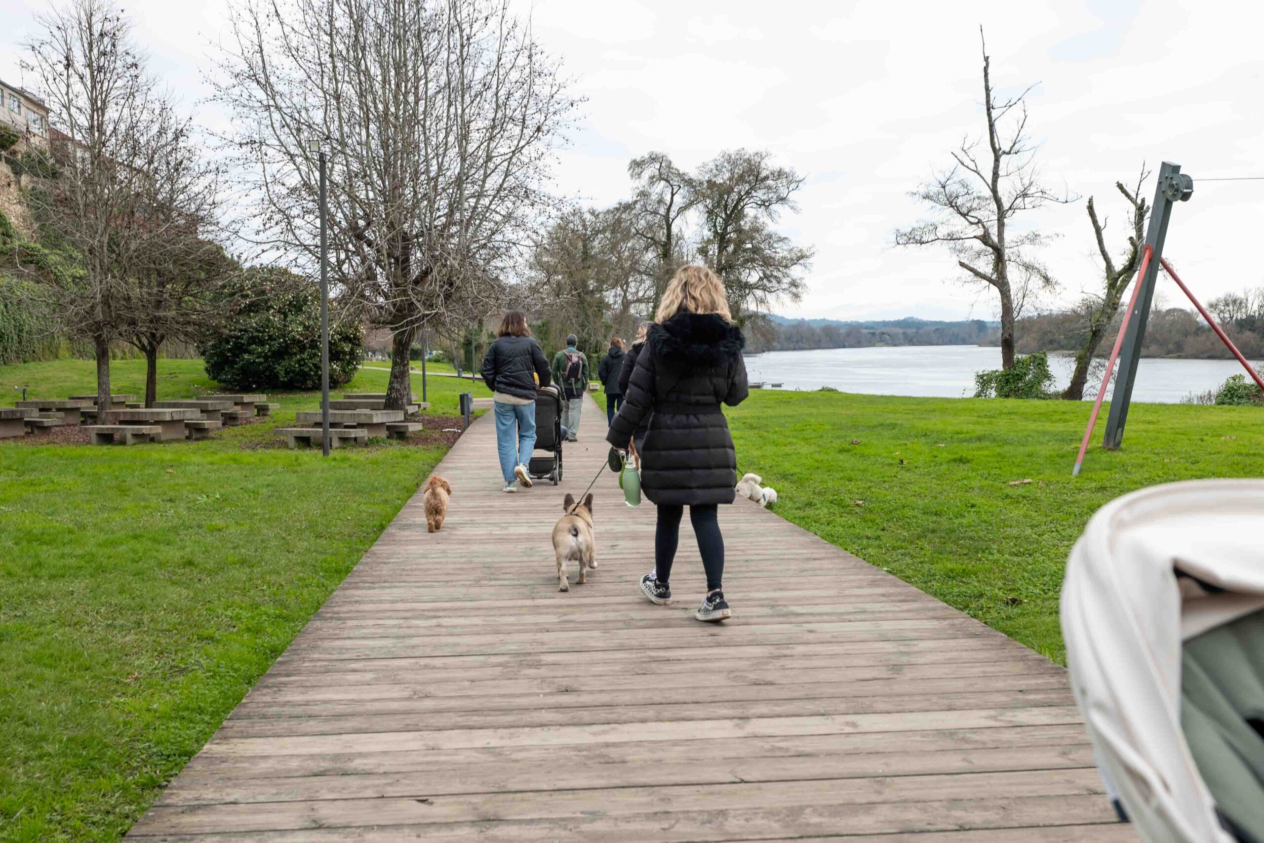Ruta guiada con perro por la ciudad de Tui en el Baixo Miño, realizada por Rekunchos, agencia de viajes pet friendly en Galicia.