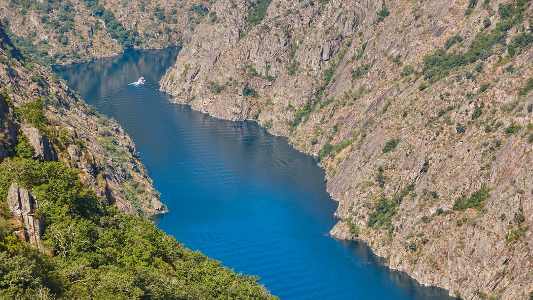 Escapada fin de semana con perro a Galicia, visita bodegas pet friendly en la Ribeira Sacra, rutas en barco dog friendly en la Ribeira Sacra