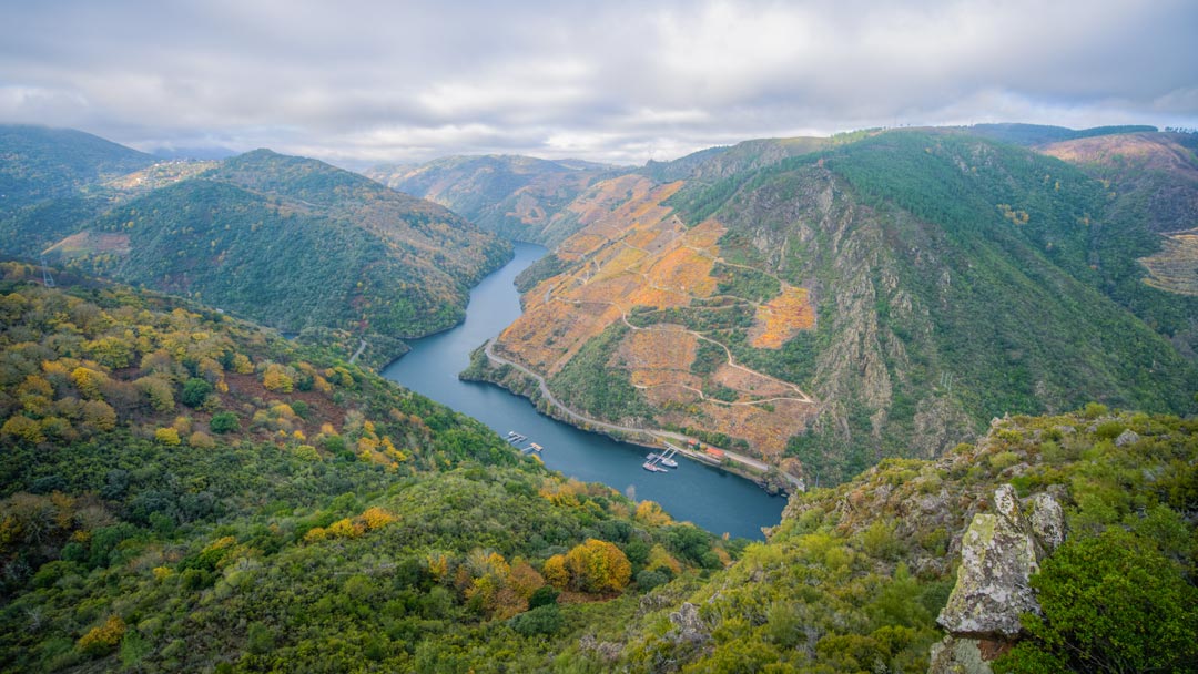 Ribeira Sacra con Perro, viajar con perro a la Ribeira Sacra en Galicia, un destino para ir con perros