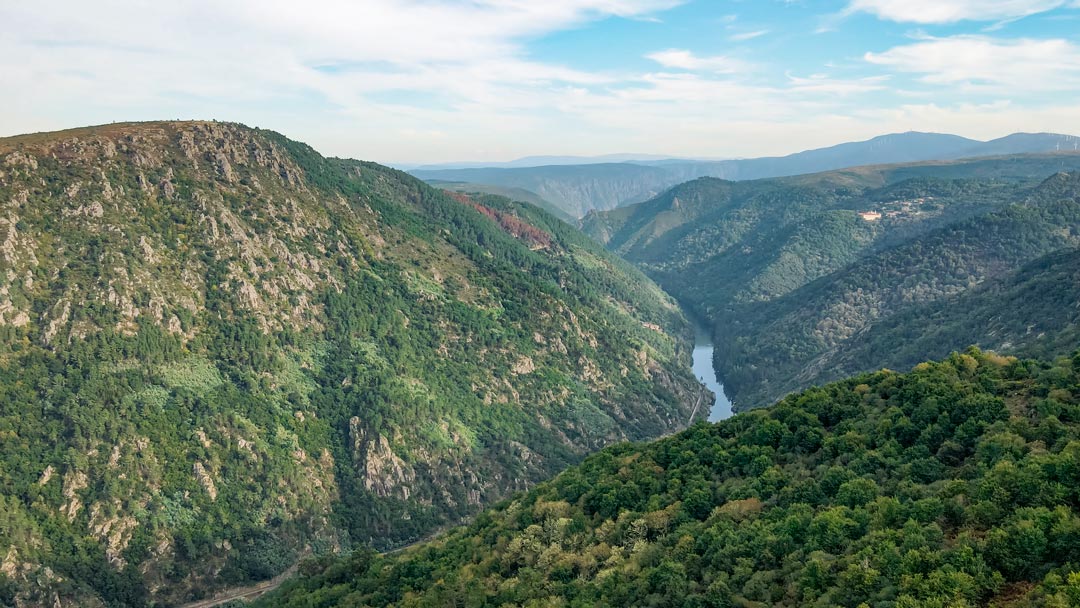 vacaciones con perro en la Ribeira Sacra en Galicia, rutas y planes con tu perro en la naturaleza de los cañones del rio Sil en Ourense