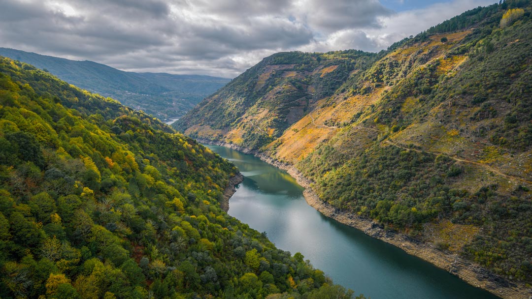 ruta Cañones del Sil con perro en la Ribeira Sacra en Galicia, Agencia de viajes pet friendly en Galicia.