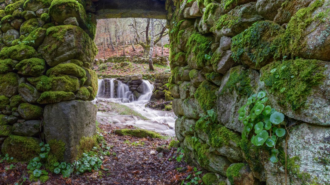 rutas y planes con perros en la naturaleza en Galicia, escapada fin de semana con perro a la Ribeira Sacra