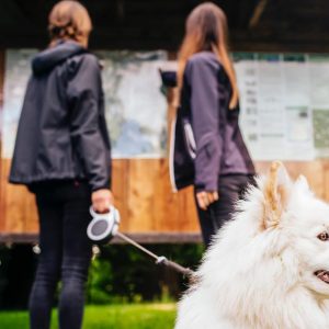 mujeres con su perro viendo un mapa de una ruta para hacer con su perro en Galicia.