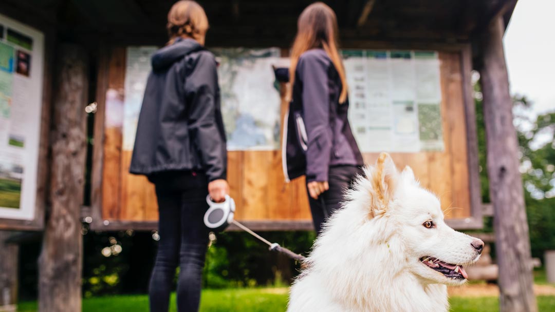 mujeres con su perro viendo un mapa de una ruta para hacer con su perro en Galicia.