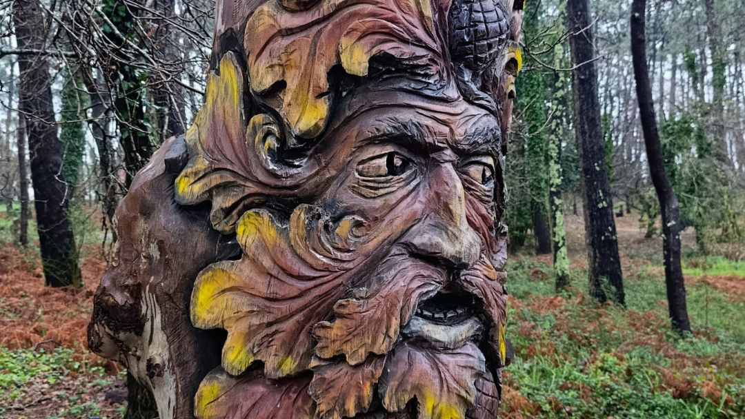 Esculturas de madera bosque en la Isla de A Toja en O Grove, visita ruta pet friendly en la Rias Baixas en Galcia