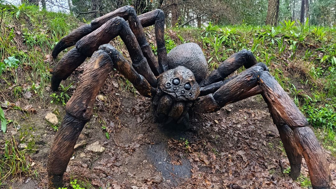 Explora a Illa da Toxa con tu perro