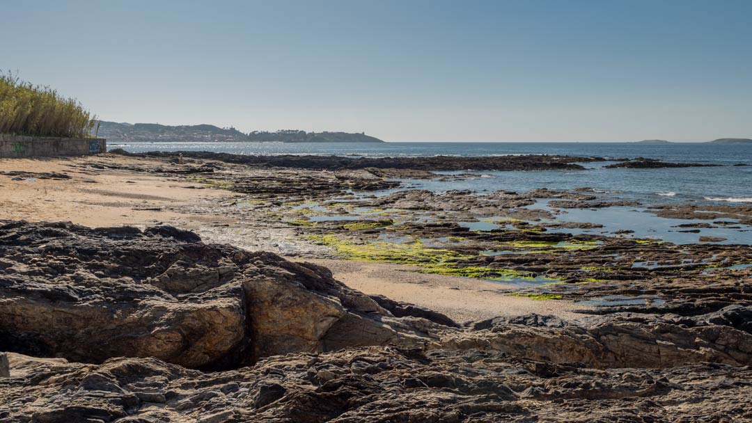 Playa para perros en Nigran, playa pet friendly O Canto en Pontevedra