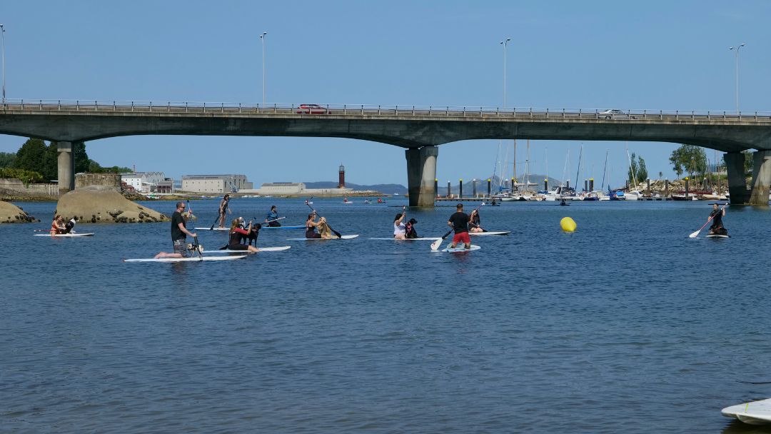 Paddle Surf Dog en Vigo con Rekunchos