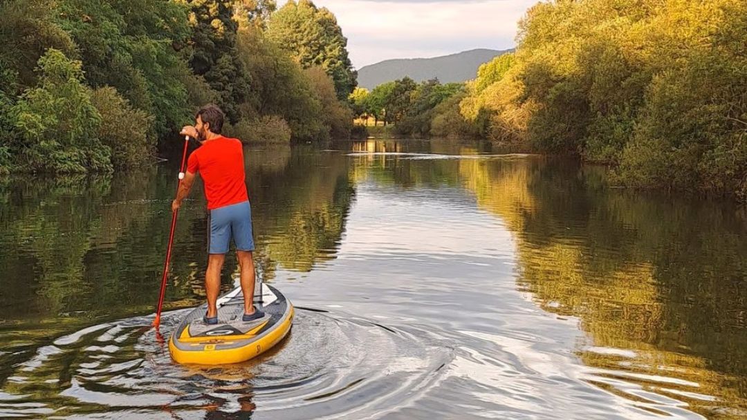 paddle con perro en Padron Galicia
