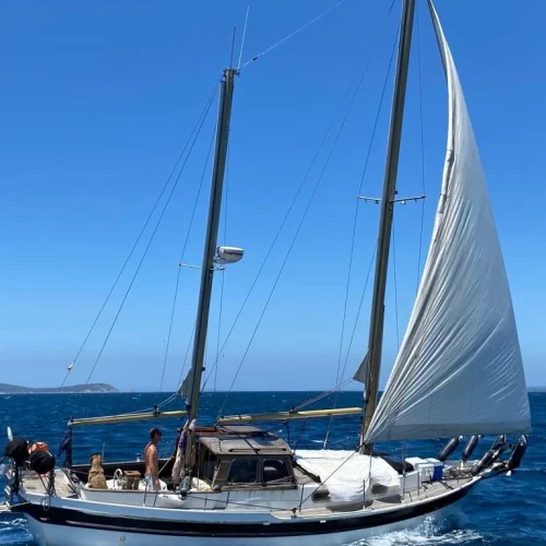 navegando la ría de Vigo con tu perro