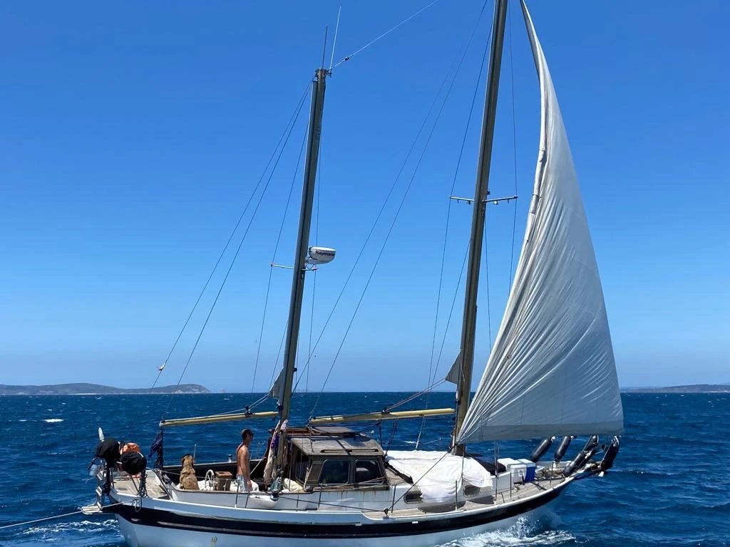 navegando la ría de Vigo con tu perro