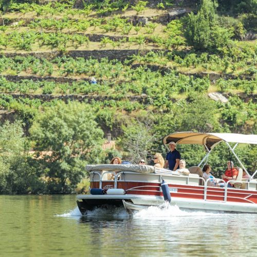Barco por la Ribeira Sacra con tu perro y visita a bodega