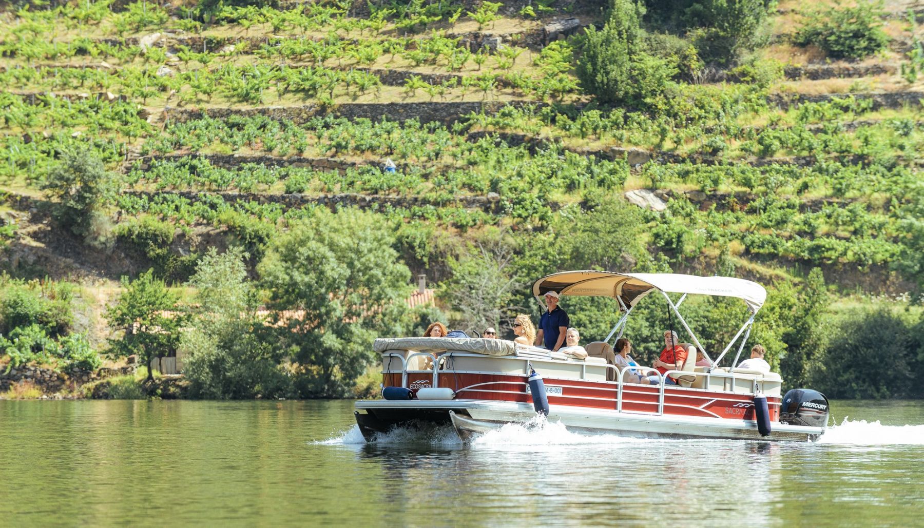 barco-ribeira-sacra-pet-friendly Barco por la Ribeira Sacra con tu perro y visita a bodega