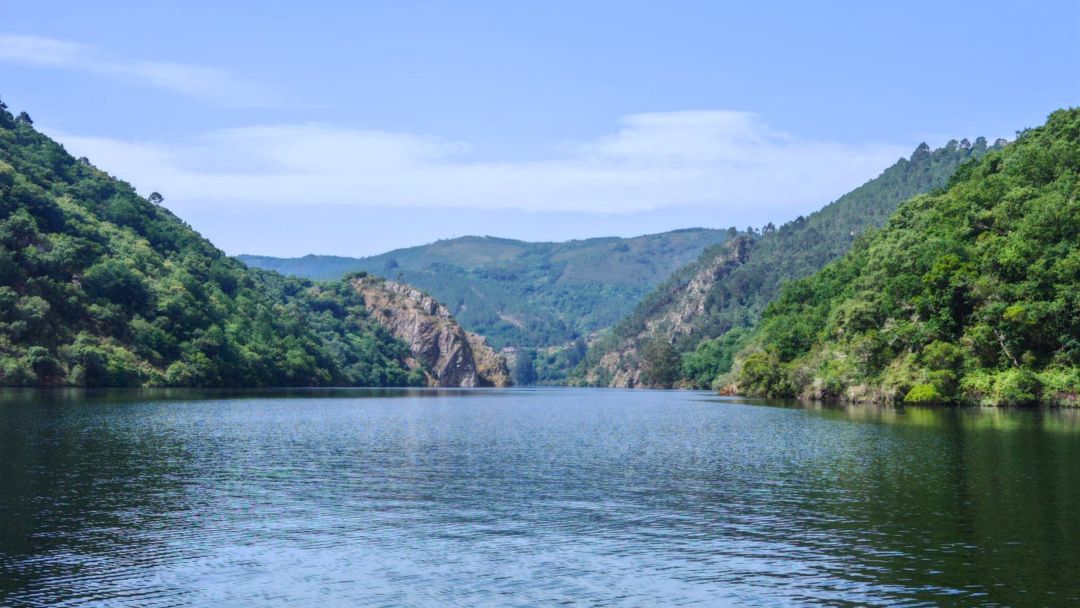 paseo en barco con tu perro por el rio Miño en la Ribeira Sacra (Lugo)