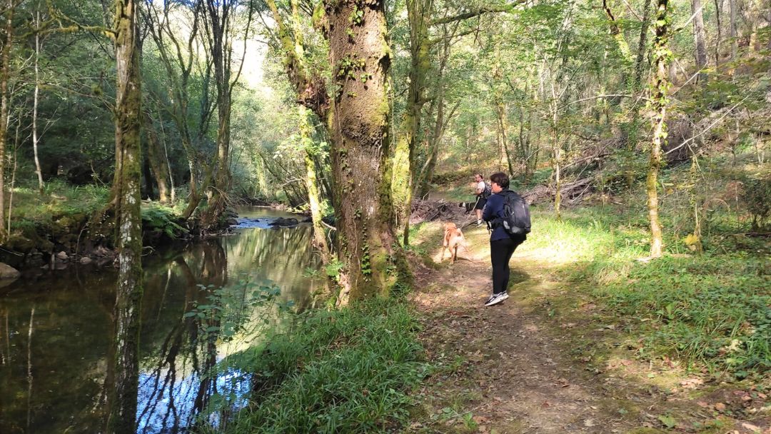 Coco y Biela disfrutando de la ruta del río Deva