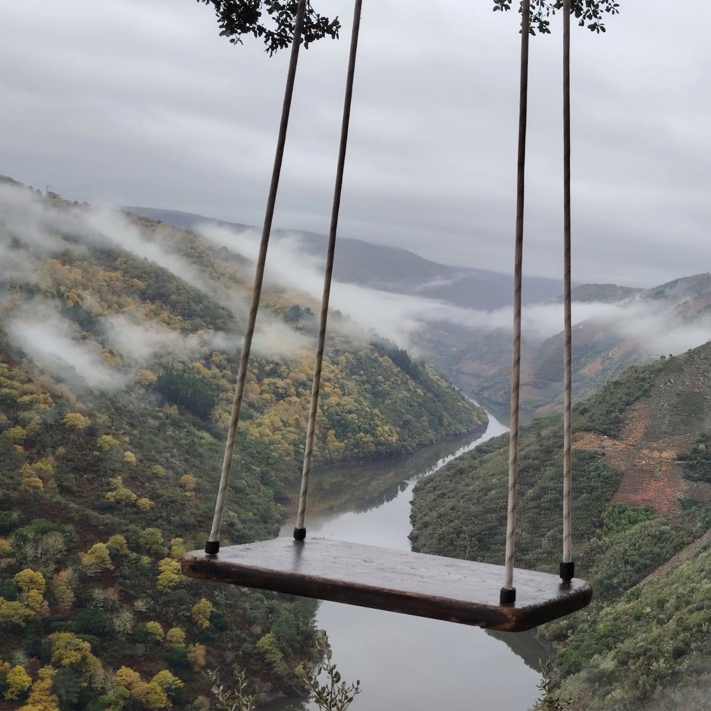 Columpio adega Terra Brava en la Ribeira Sacra