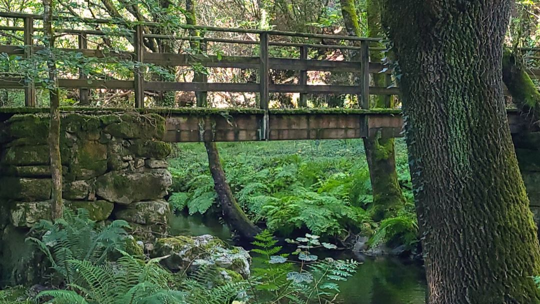Puente sobre el río Deva en la ruta PR-G 176