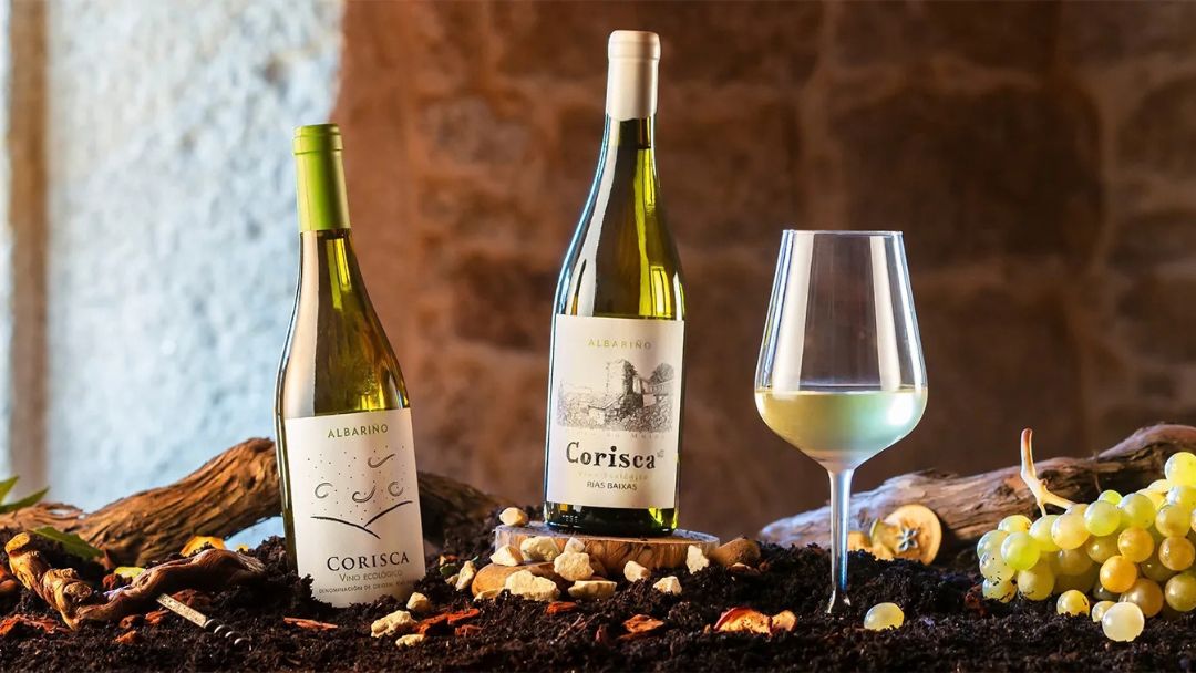 Botellas de vino Albariño ecológico en la bodega