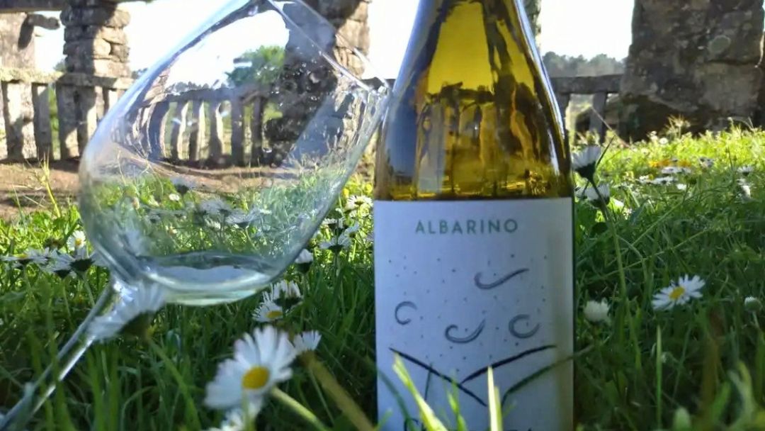 Cata de Albariño ecológico entre viñedos en Tui